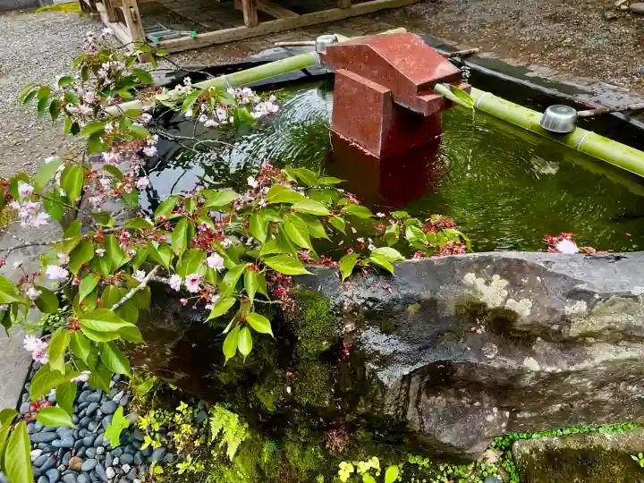 慈恩寺(山形県)