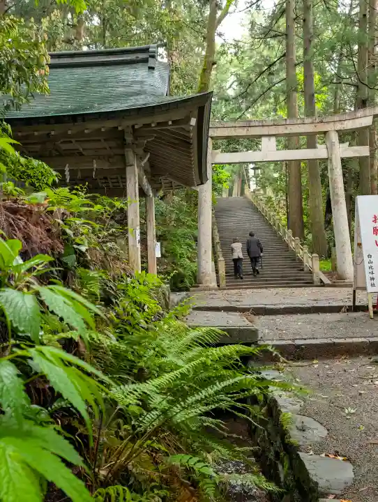 白山比咩神社の{uncategorized: "未分類", other: "その他", undefined: "問題あり", building: "その他建物", grave: "お墓", sacred_gate: "鳥居", guardian: "狛犬", statue: "像", buddha: "仏像", history: "歴史", nature: "自然", garden: "庭園", animal: "動物", pagoda: "塔", temizu: "手水舎", mountain_gate: "山門・神門", sanctuary: "本殿・本堂", subordinate: "末社・摂社", art: "芸術", scenery: "景色", jizo: "地蔵", ema: "絵馬", goshuin: "御朱印", omikuji: "おみくじ", items: "授与品その他", amulet: "お守り", goshuincho: "御朱印帳", eats: "食事", festival: "お祭り", votive_dance: "神楽", shichigosan: "七五三参", wedding: "結婚式", experience: "体験その他", initially: "初詣", around: "周辺", anti_infection: "感染症対策"}