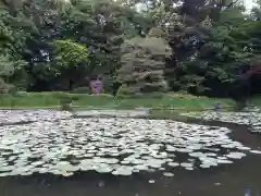 平安神宮の庭園