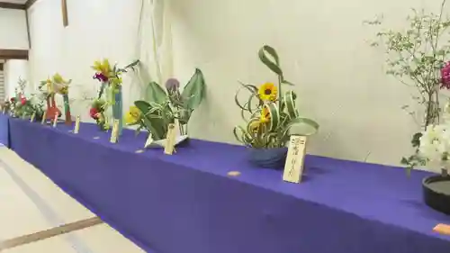 仁和寺の芸術