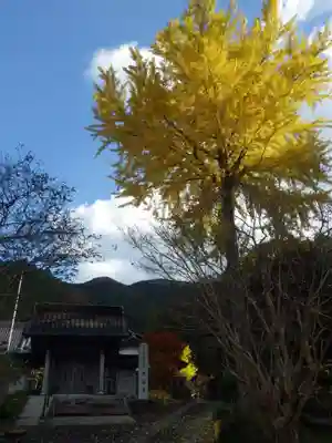 明教寺(山口県)