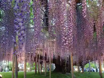 かっぱの寺 栖足寺の自然