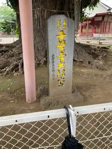 千葉寺(千葉県)