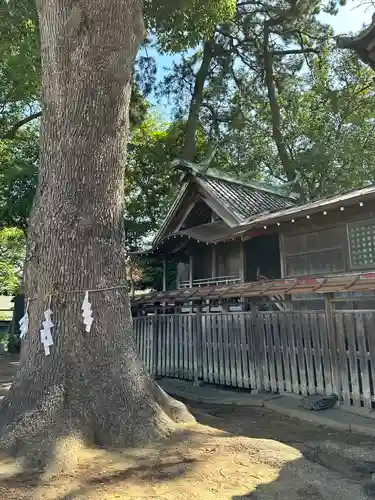 神明社(千葉県)