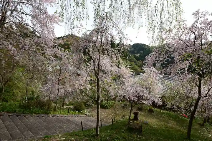 如意輪寺(奈良県)