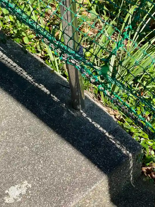 荒熊神社(愛知県)