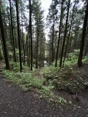 上色見熊野座神社(熊本県)