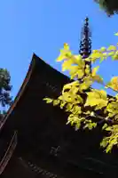 国宝 大法寺の塔