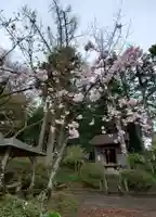 上合寺のその他建物