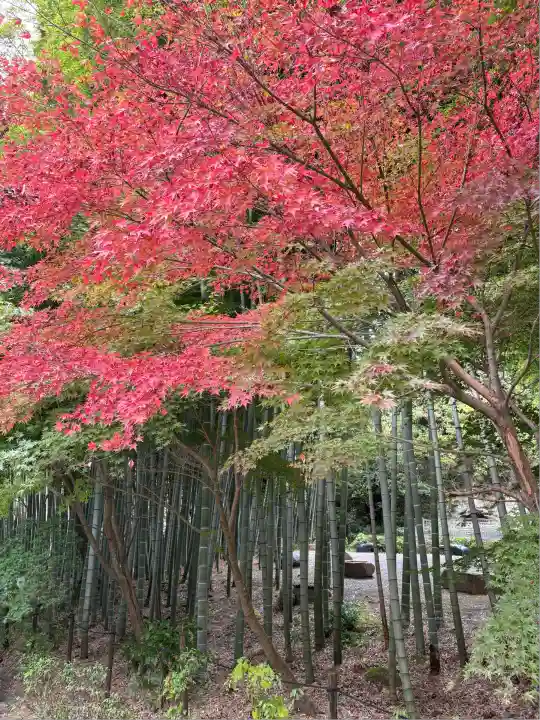 建長寺(神奈川県)