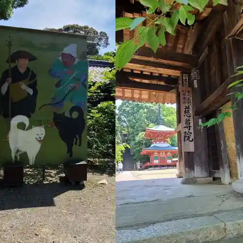 慈尊院(和歌山県)