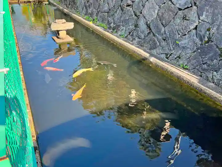 道神社(富山県)