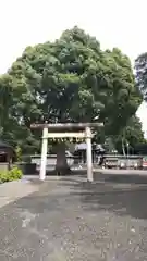 日吉浅間神社(静岡県)