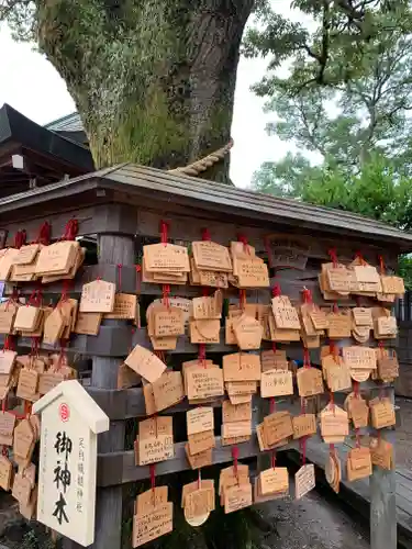 足利織姫神社の絵馬