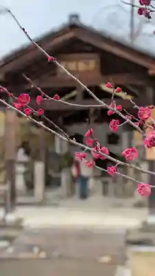 仁和寺(京都府)