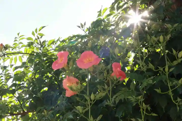 大鏑神社の庭園