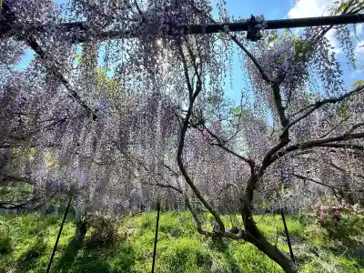 天台宗 五大山 白毫寺(兵庫県)