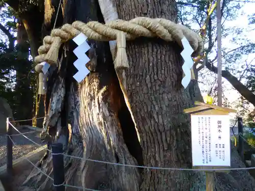 常陸國總社宮の歴史