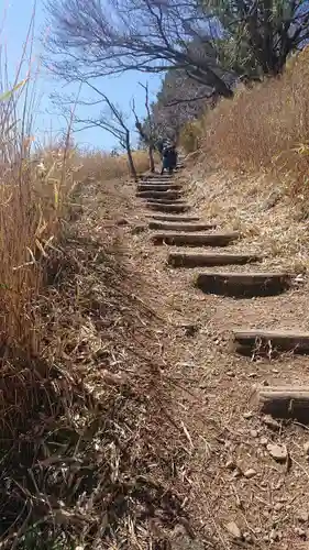 阿波々神社の自然