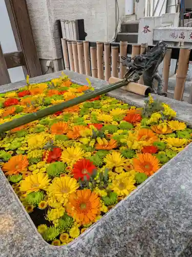 高円寺氷川神社(東京都)