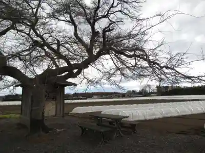 北向き地蔵堂(茨城県)