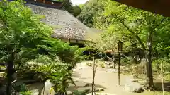 大雄寺の本殿