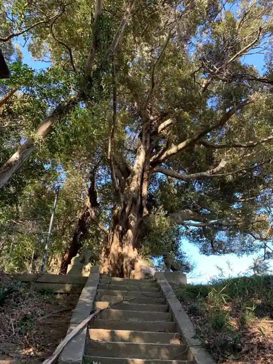 白山神社のその他建物