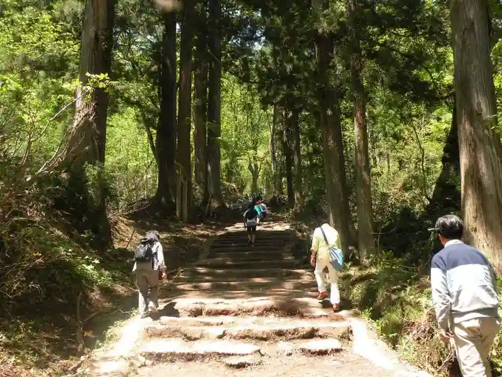 戸隠神社奥社の自然