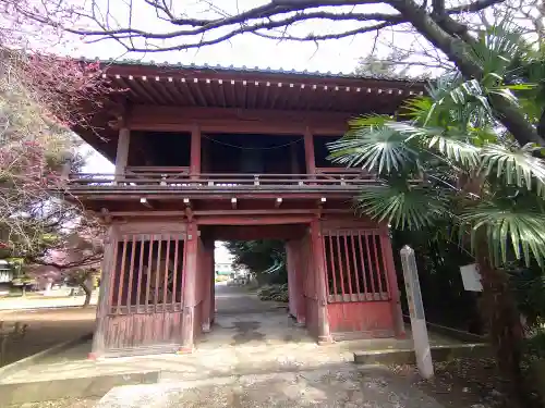 南蔵院の山門