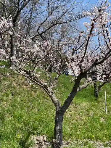 虻田神社の自然