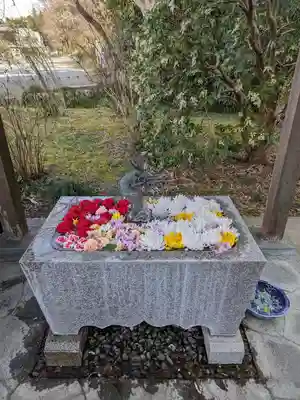 西光寺(埼玉県)