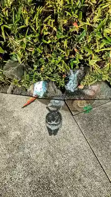 櫻木神社の芸術