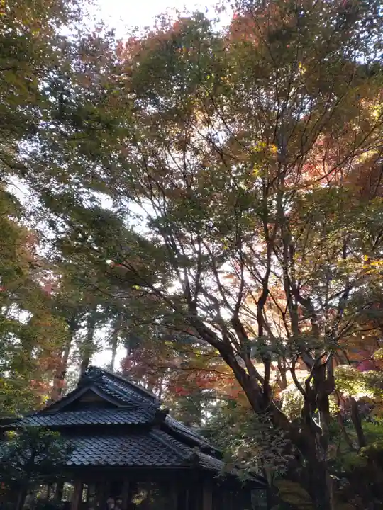 教林坊(滋賀県)