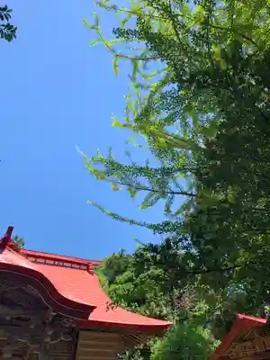 宇奈己呂和気神社の本殿・本堂