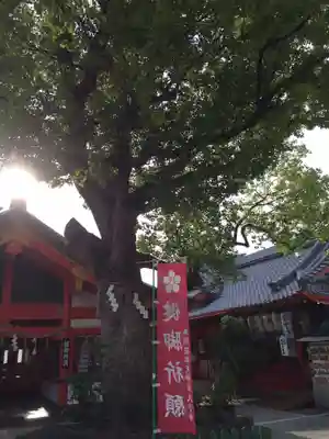 足の神様 服部天神宮の本殿・本堂