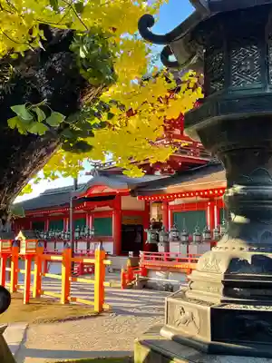 春日大社の本殿・本堂