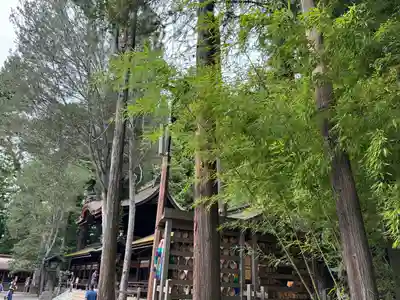 諏訪大社下社秋宮(長野県)