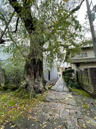 神宮寺(長野県)