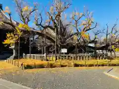 本願寺（西本願寺）の自然