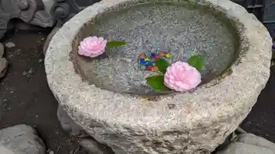 戸越八幡神社の手水舎