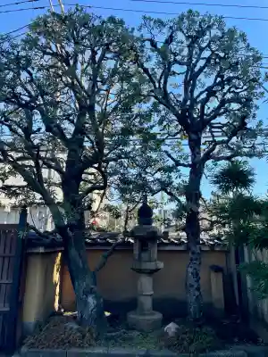 法身寺(東京都)