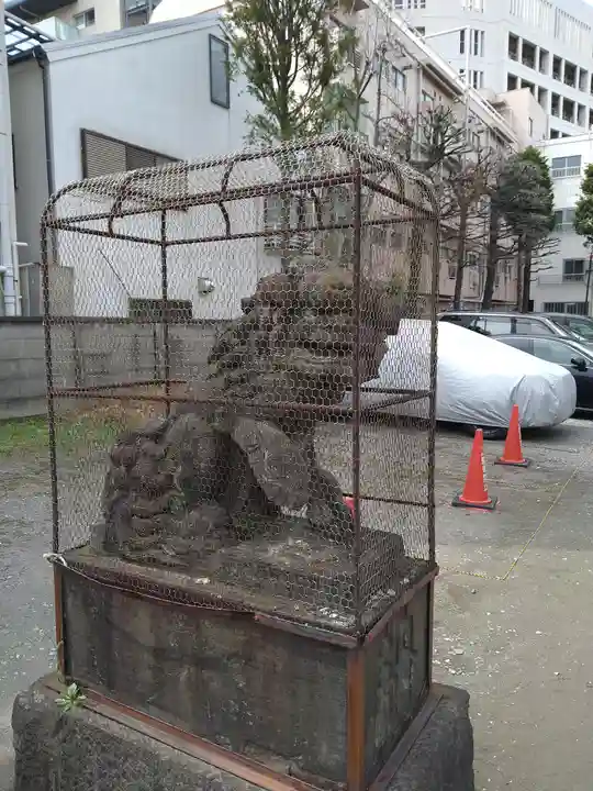 今戸神社の狛犬
