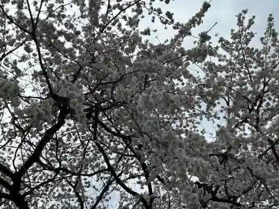 長野縣護國神社(長野県)