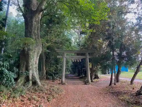 子安神社の鳥居