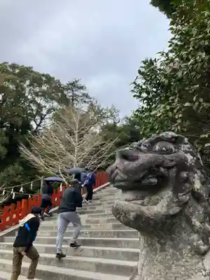 鶴岡八幡宮の狛犬