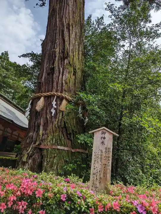 香取神宮(千葉県)