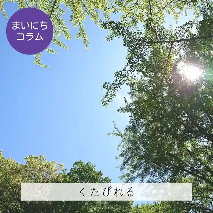 壽徳寺 じゅとくじ(福島県)