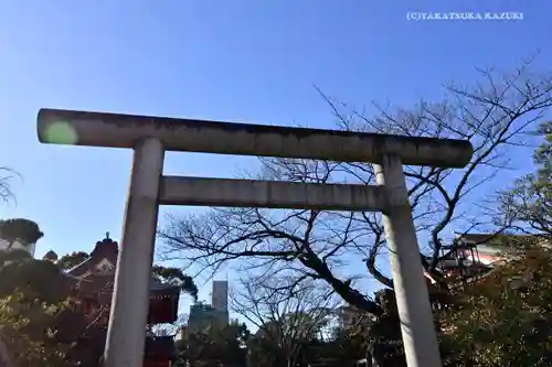 千葉神社の鳥居