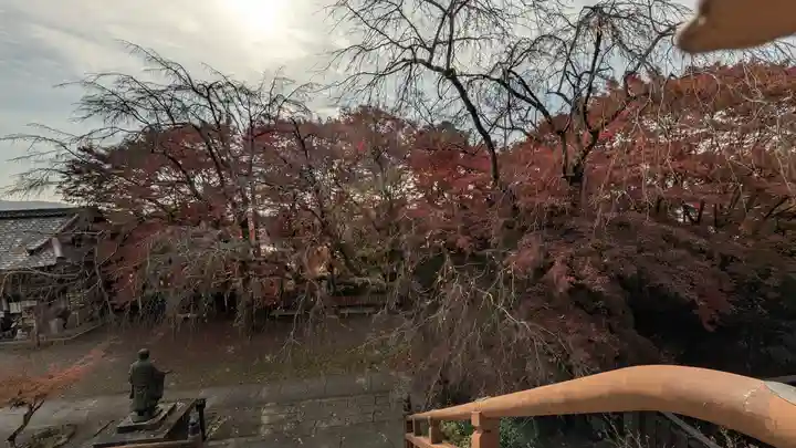 松ヶ崎大黒天 妙圓寺(妙円寺)(京都府)