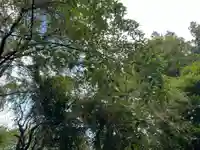 大宮温泉神社(栃木県)